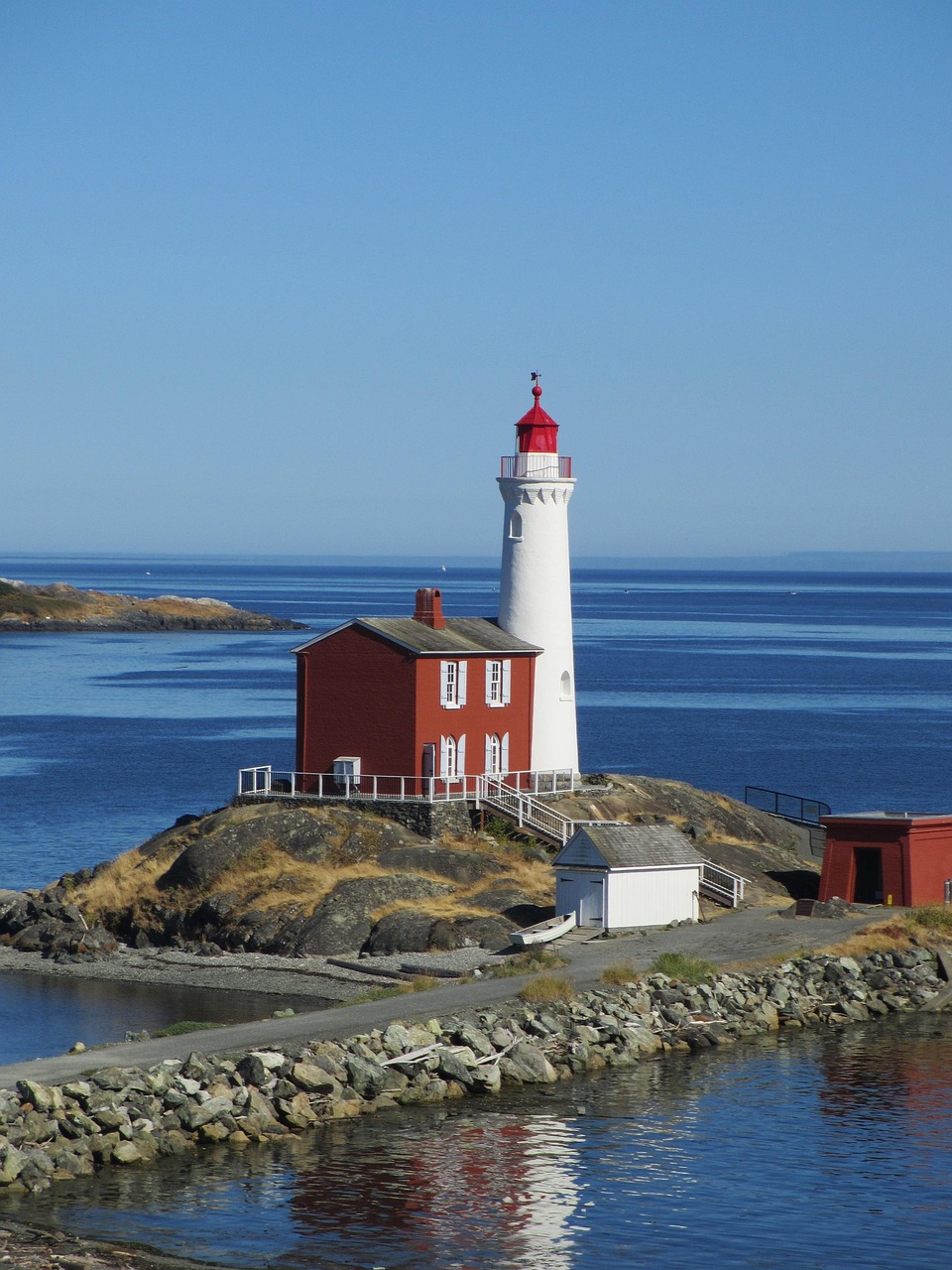 Ballenas, Osos y Vancouver Island